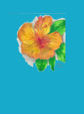 Hibiscus Tshirt